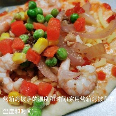 烤箱烤披萨的温度和时间(家用烤箱烤披萨的温度和时间)