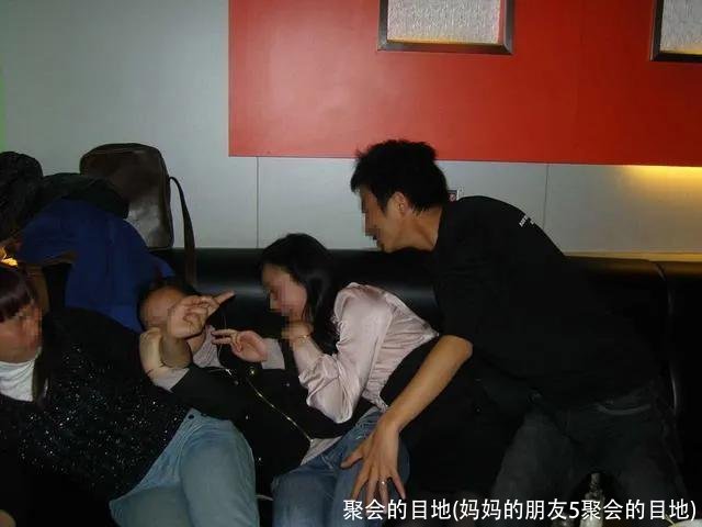 聚会的目地(妈妈的朋友5聚会的目地)