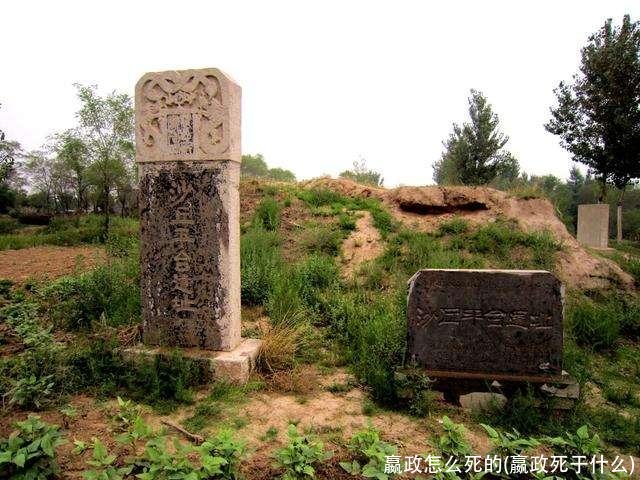 嬴政怎么死的(嬴政死于什么)