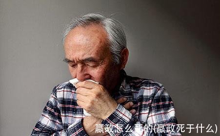 嬴政怎么死的(嬴政死于什么)