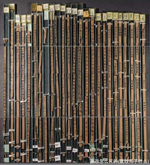 嬴政怎么死的(嬴政死于什么)