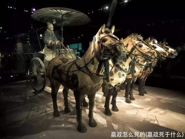 嬴政怎么死的(嬴政死于什么)