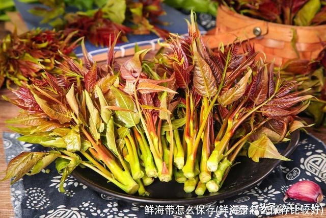 鲜海带怎么保存(鲜海带怎么保存比较好)