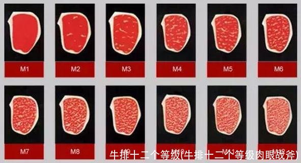 牛排十二个等级(牛排十二个等级肉眼战斧)