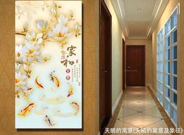 天鹅的寓意(天鹅的寓意及象征)