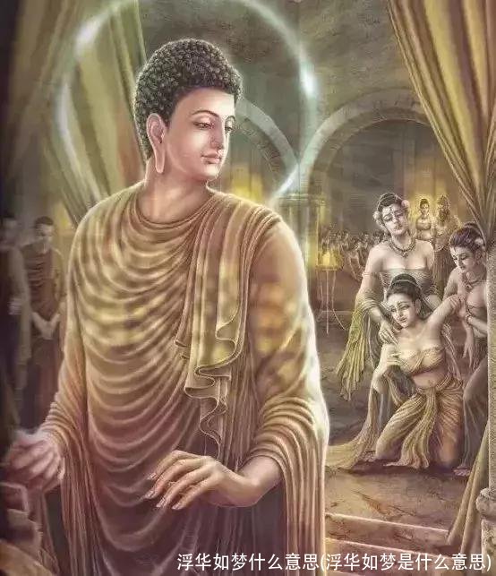 浮华如梦什么意思(浮华如梦是什么意思)