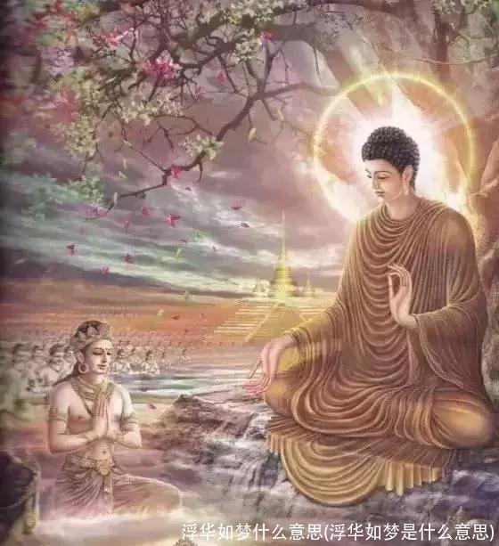 浮华如梦什么意思(浮华如梦是什么意思)