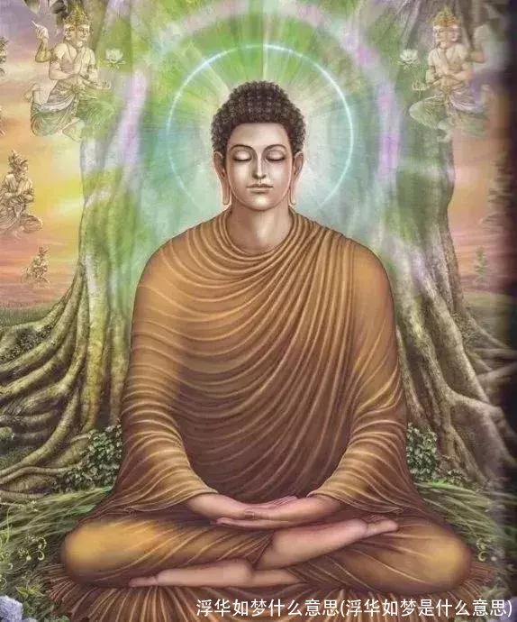 浮华如梦什么意思(浮华如梦是什么意思)
