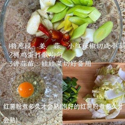 红薯粉煮多久才会熟(泡好的红薯粉煮多久才会熟)