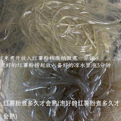 红薯粉煮多久才会熟(泡好的红薯粉煮多久才会熟)