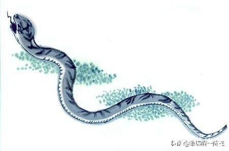 民间关于蛇的传说(民间关于蛇的传说故事)