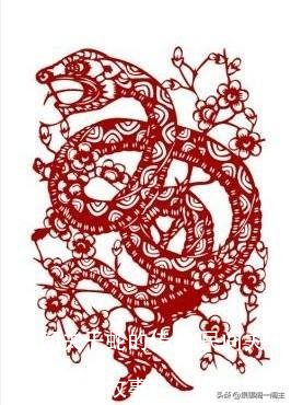 民间关于蛇的传说(民间关于蛇的传说故事)