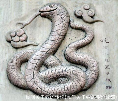民间关于蛇的传说(民间关于蛇的传说故事)