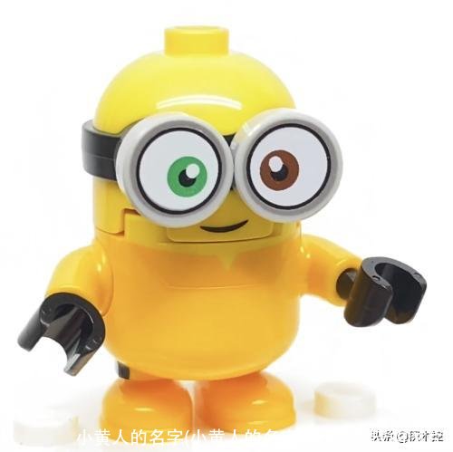 小黄人的名字(小黄人的名字叫什么对应的图片)