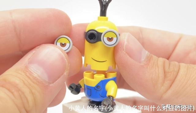 小黄人的名字(小黄人的名字叫什么对应的图片)