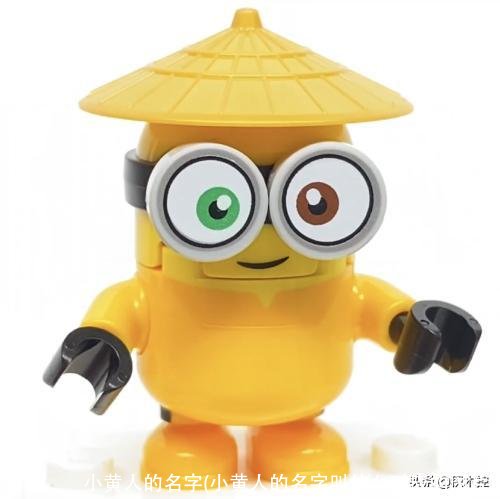 小黄人的名字(小黄人的名字叫什么对应的图片)