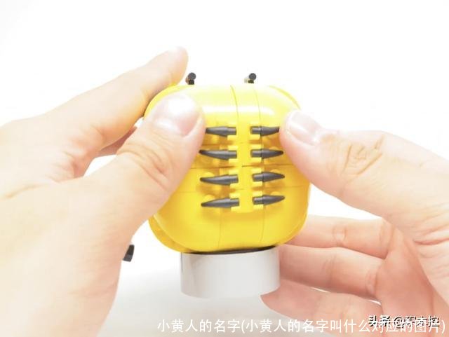 小黄人的名字(小黄人的名字叫什么对应的图片)