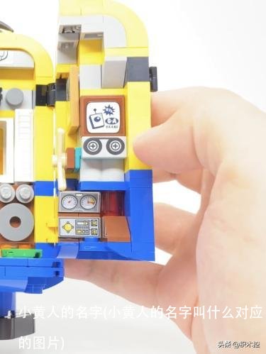 小黄人的名字(小黄人的名字叫什么对应的图片)