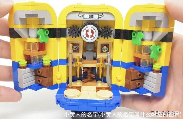 小黄人的名字(小黄人的名字叫什么对应的图片)