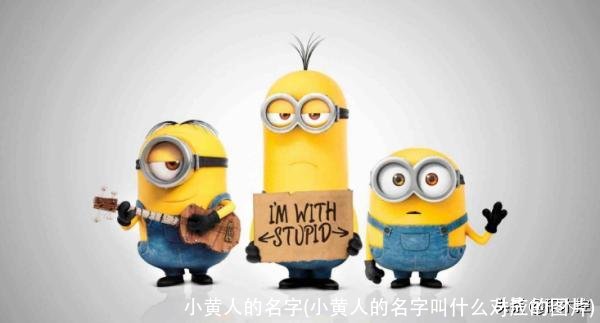 小黄人的名字(小黄人的名字叫什么对应的图片)