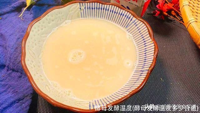 酵母发酵温度(酵母发酵温度多少合适)