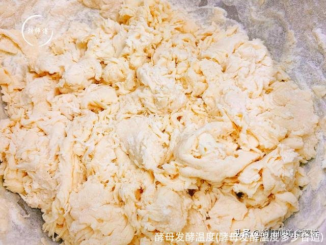 酵母发酵温度(酵母发酵温度多少合适)