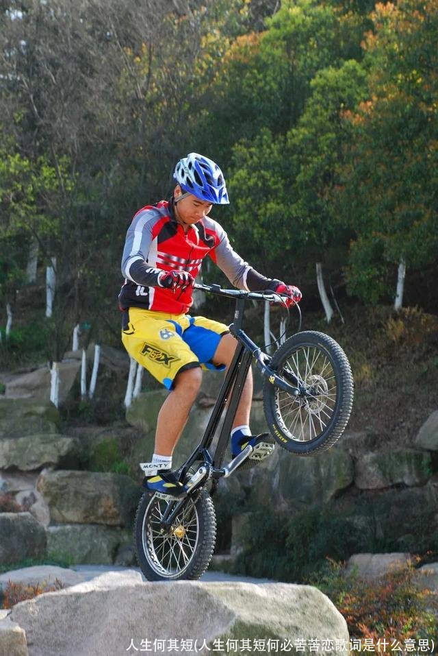 人生何其短(人生何其短何必苦苦恋歌词是什么意思)