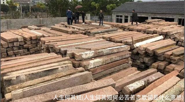 人生何其短(人生何其短何必苦苦恋歌词是什么意思)