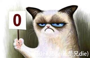 兄dei(兄dei还是兄die)