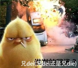 兄dei(兄dei还是兄die)