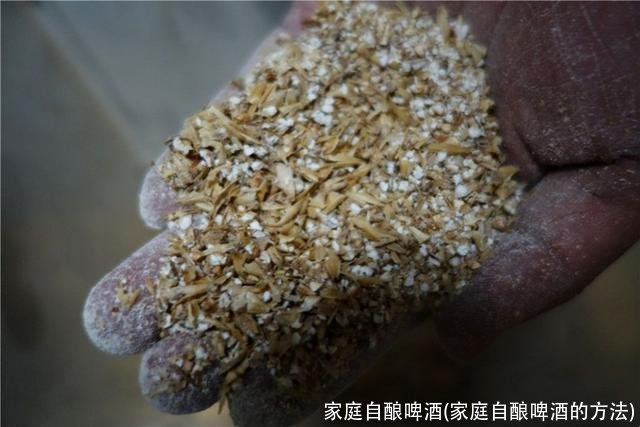 家庭自酿啤酒(家庭自酿啤酒的方法)