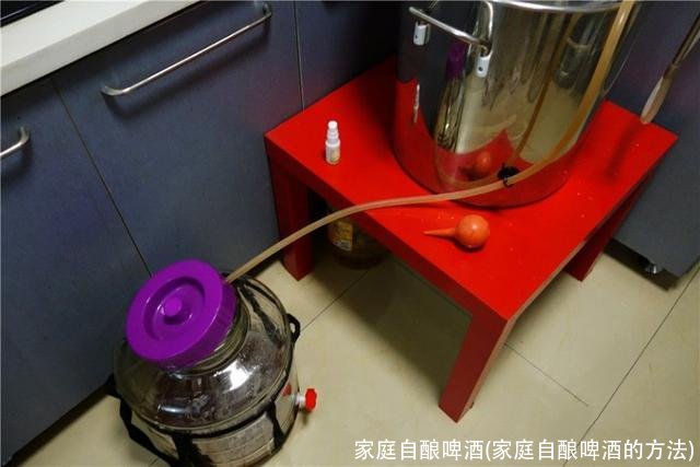 家庭自酿啤酒(家庭自酿啤酒的方法)