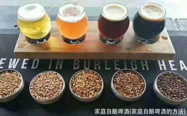 家庭自酿啤酒(家庭自酿啤酒的方法)
