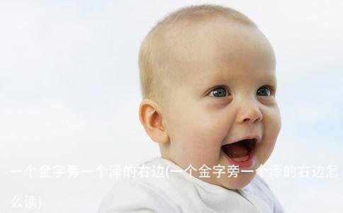 一个金字旁一个泽的右边(一个金字旁一个泽的右边怎么读)