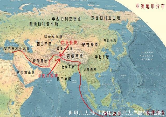 世界几大洲(世界几大洲几大洋都有什么呀)