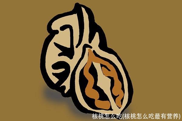 核桃怎么吃(核桃怎么吃最有营养)