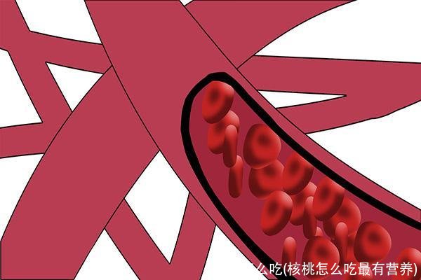 核桃怎么吃(核桃怎么吃最有营养)