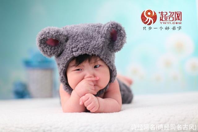 诗经网名(诗经网名古风)