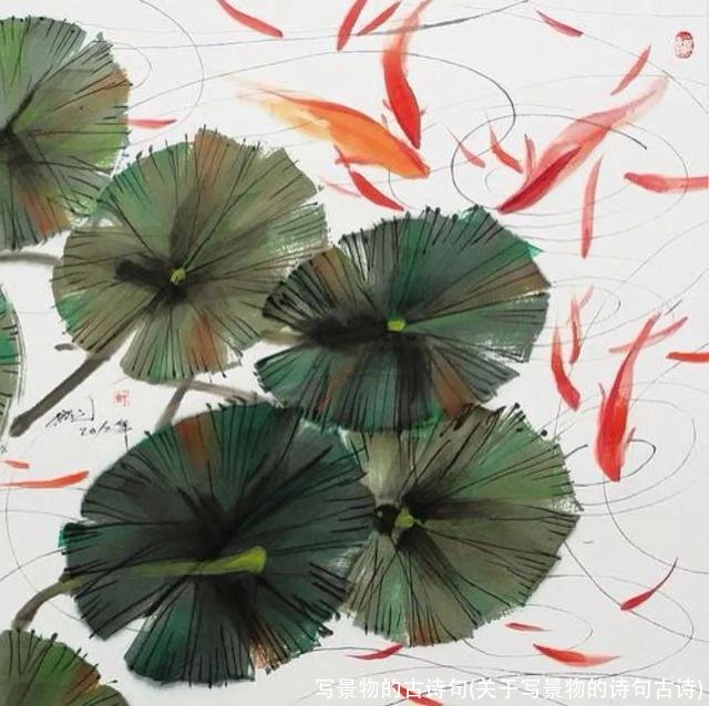 写景物的古诗句(关于写景物的诗句古诗)