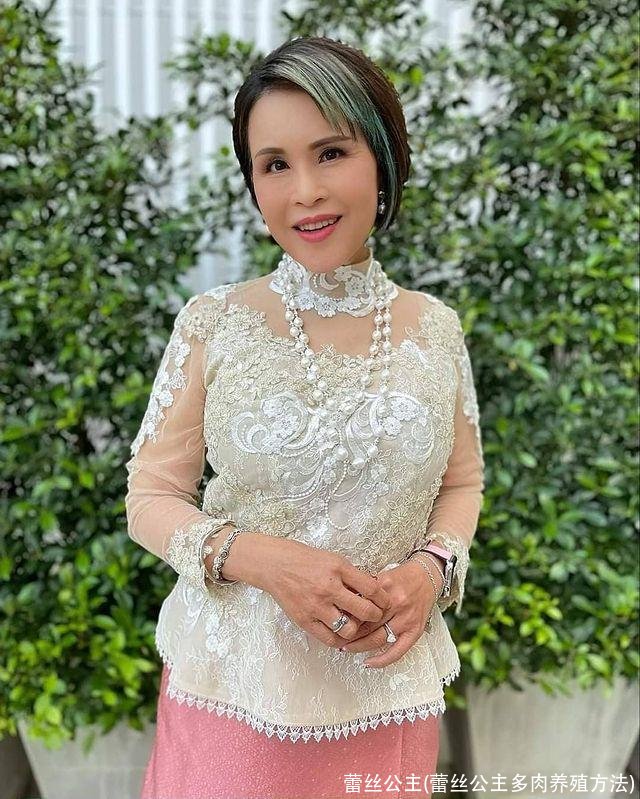 蕾丝公主(蕾丝公主多肉养殖方法)