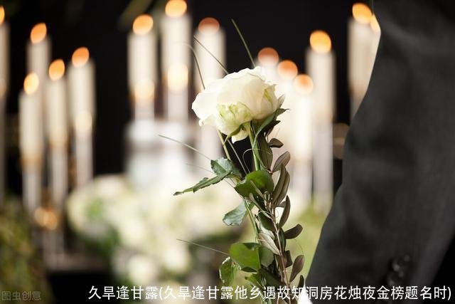 久旱逢甘露(久旱逢甘露他乡遇故知洞房花烛夜金榜题名时)