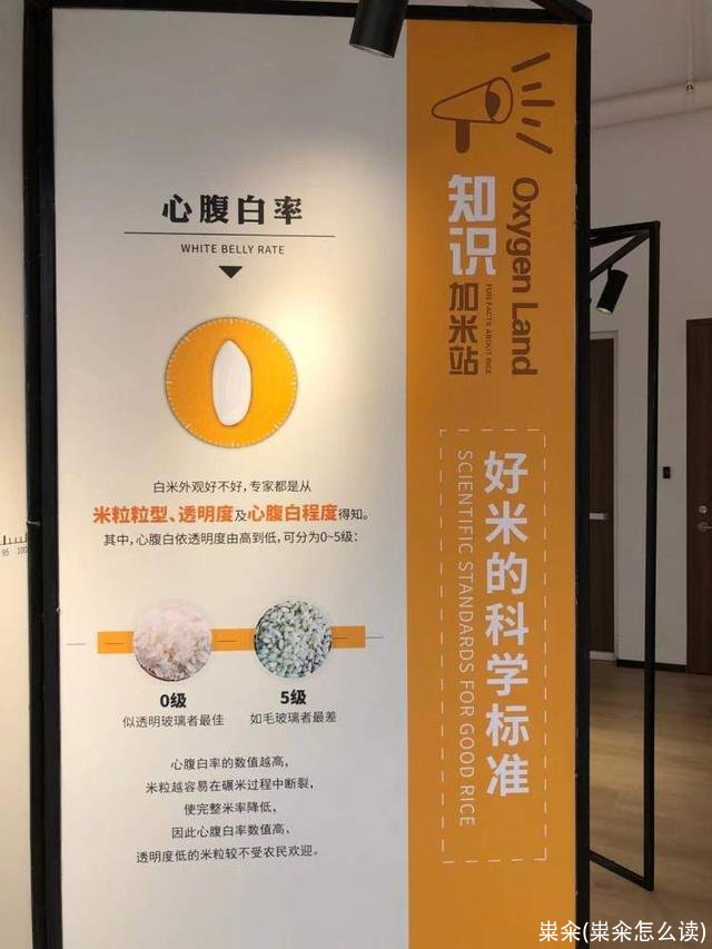 粜籴(粜籴怎么读)