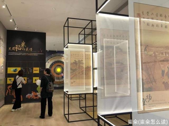 粜籴(粜籴怎么读)