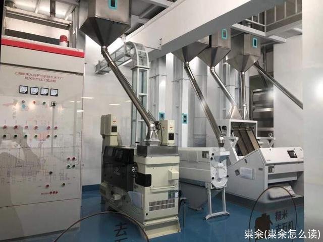 粜籴(粜籴怎么读)