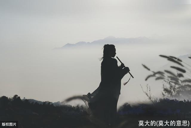 莫大的(莫大的意思)