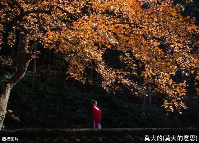 莫大的(莫大的意思)