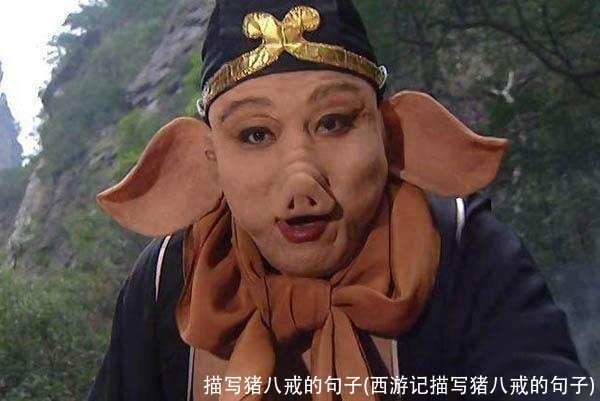 描写猪八戒的句子(西游记描写猪八戒的句子)