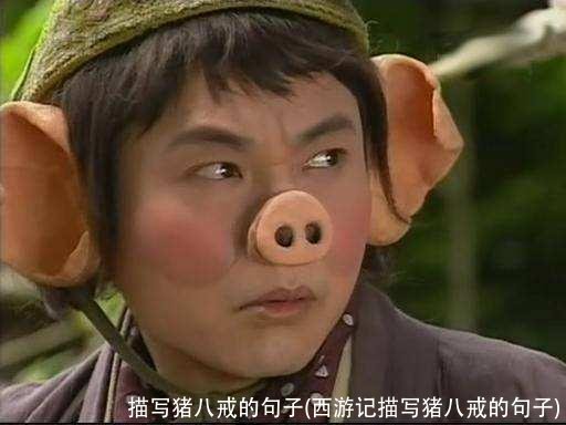 描写猪八戒的句子(西游记描写猪八戒的句子)
