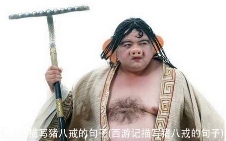描写猪八戒的句子(西游记描写猪八戒的句子)