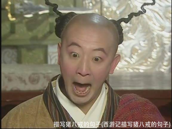 描写猪八戒的句子(西游记描写猪八戒的句子)